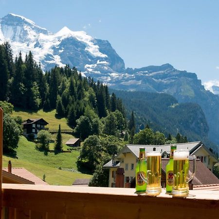 Panoramapark Soleil Chalet E Wengen Zewnętrze zdjęcie