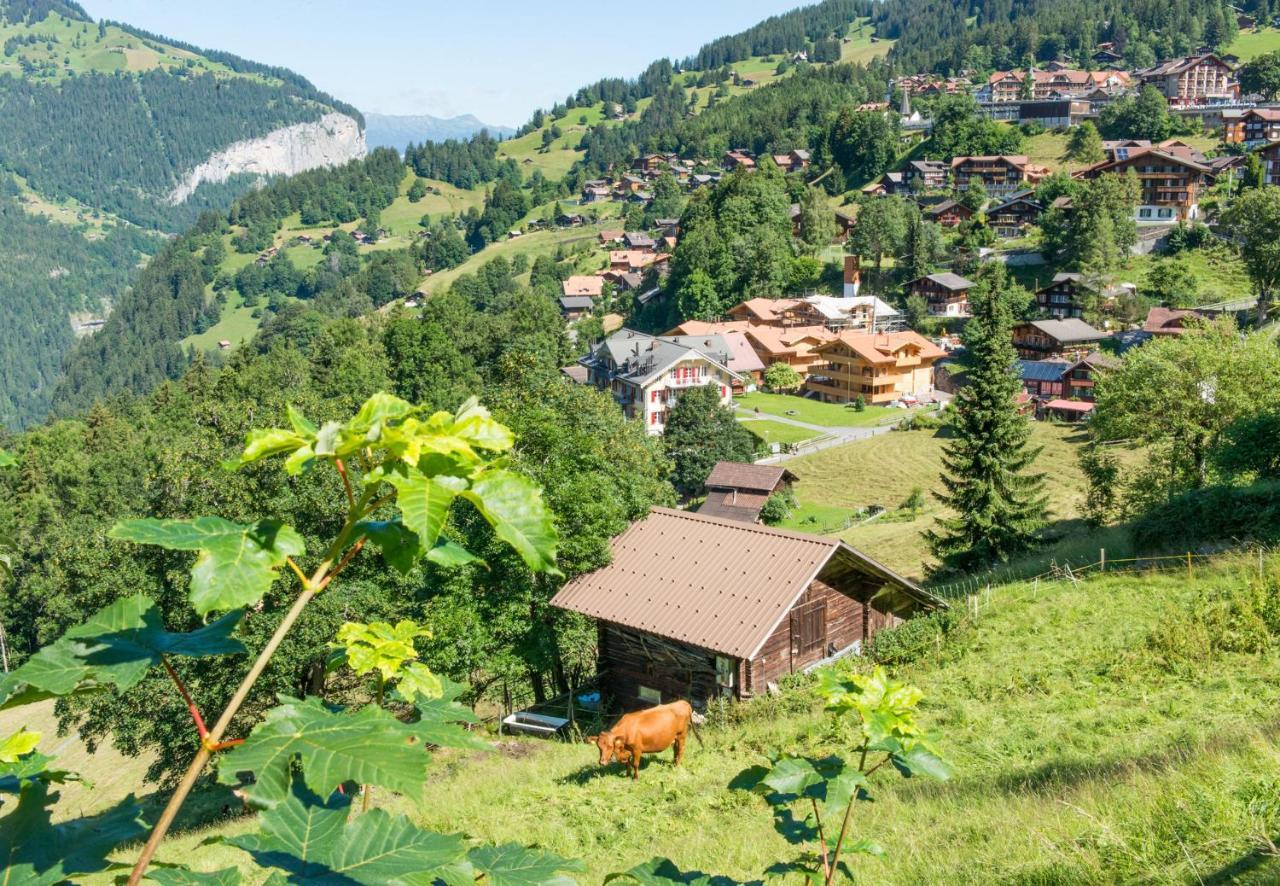 Panoramapark Soleil Chalet E Wengen Zewnętrze zdjęcie